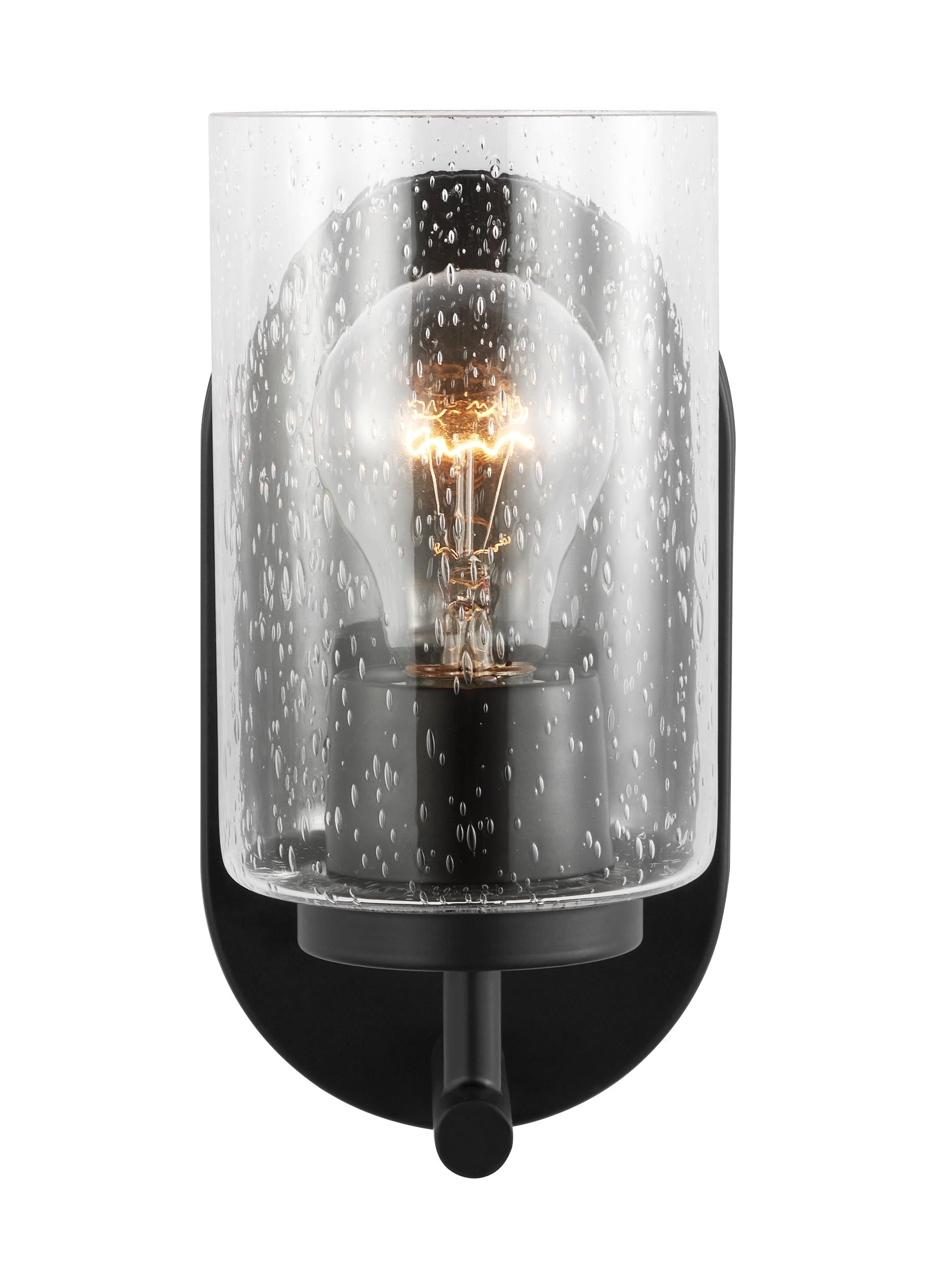 Oslo dimmable 1-light wall bath sconce in a midnight black finish with clear seeded glass shade