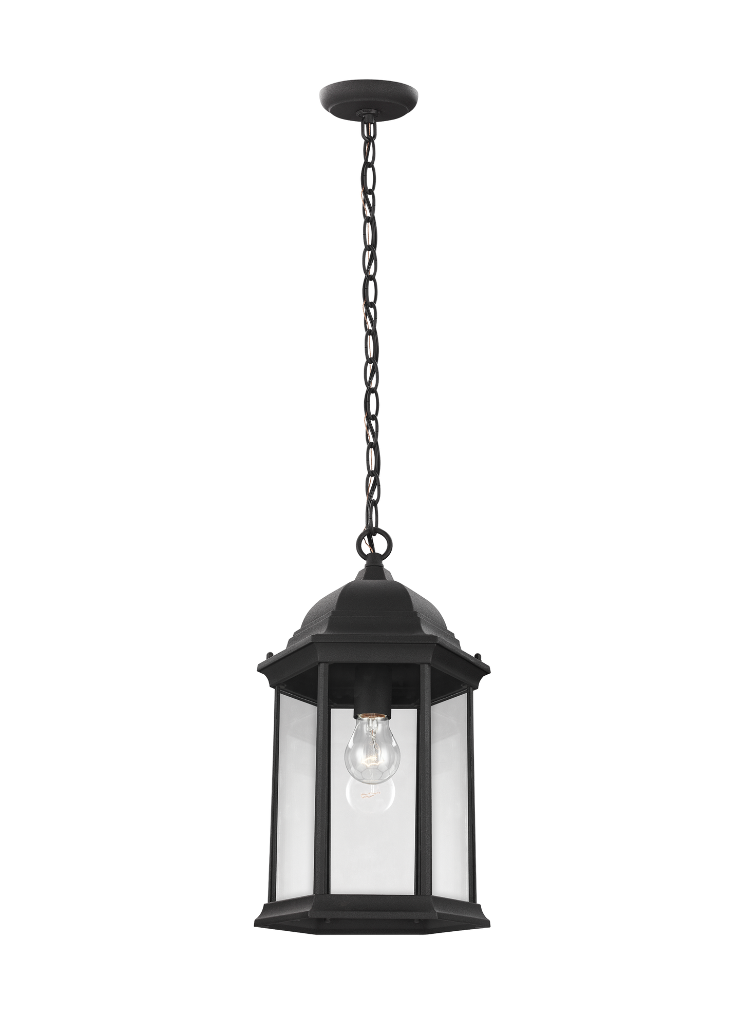 Sevier traditional 1-light outdoor exterior ceiling hanging pendant in black finish with clear glass panels
