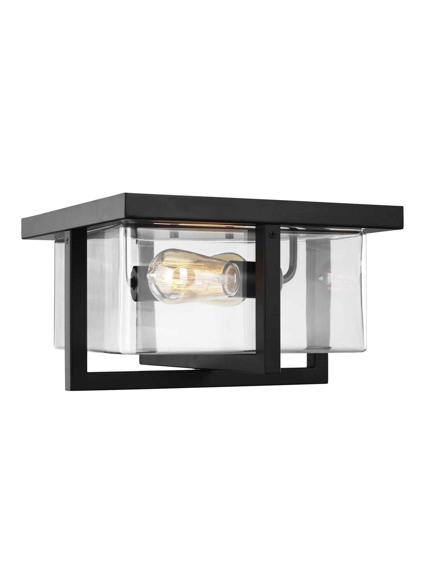 Mitte transitional 2-light indoor dimmable ceiling flush mount in midnight black finish with clear glass shade