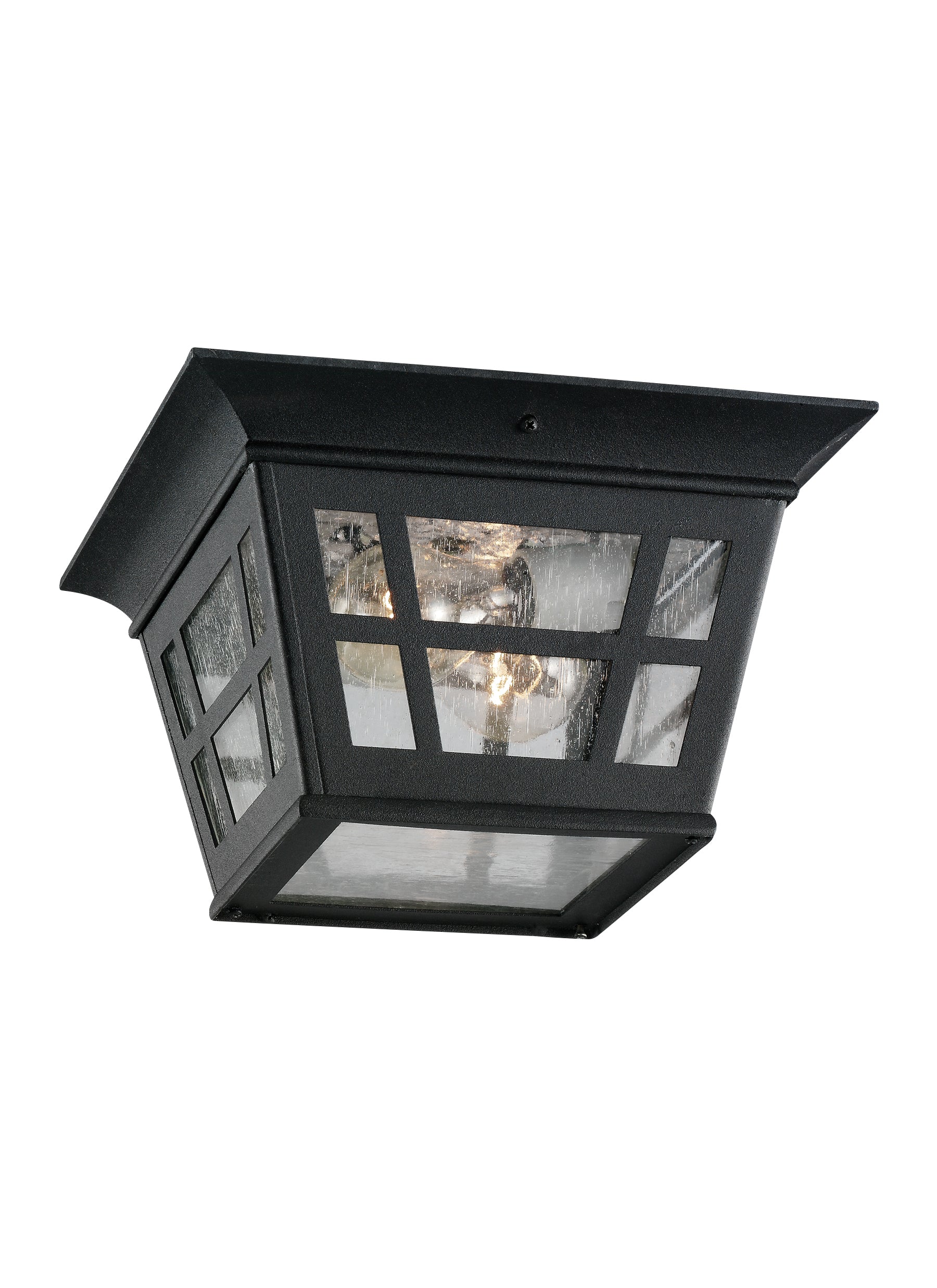 Herrington transitional 2-light outdoor exterior ceiling flush mount in black finish with clear seeded glass panels