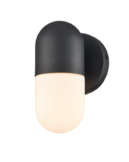 Capsule Outdoor 1-Light Sconce