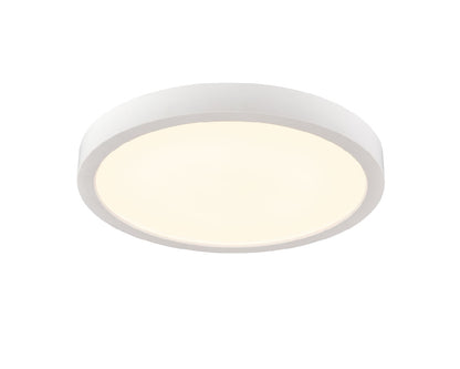 Typhoon 1-Light Flush Mount