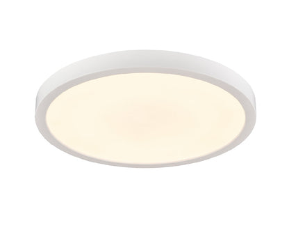 Typhoon 1-Light Flush Mount