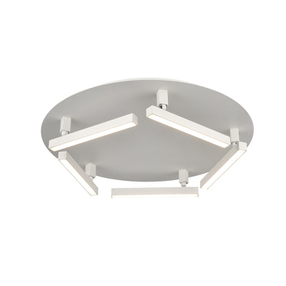 Gammahydrae AC LED Flush Mount