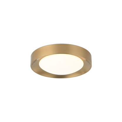 Essene 1-Light Ceiling Mount