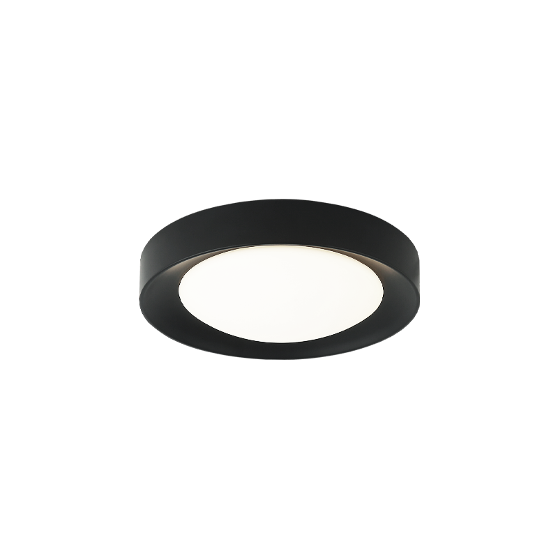 Essene 1-Light Ceiling Mount