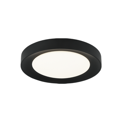 Essene 1-Light Ceiling Mount