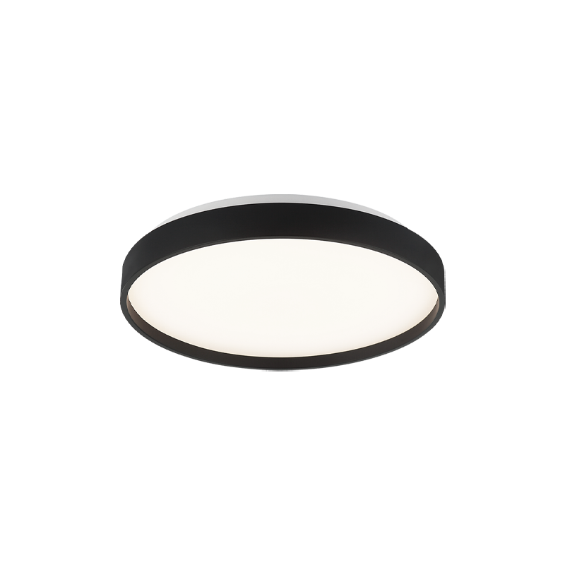 Alexandre 1-Light Ceiling Mount