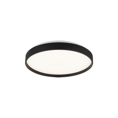 Alexandre 1-Light Ceiling Mount