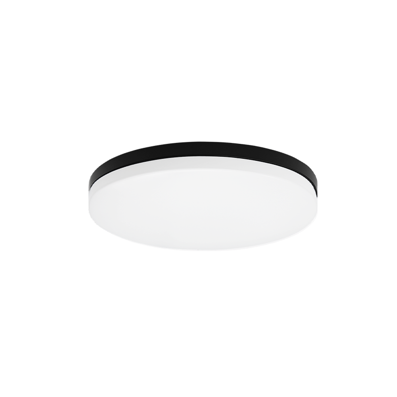 Xelan 1-Light Ceiling Mount