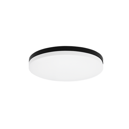 Xelan 1-Light Ceiling Mount