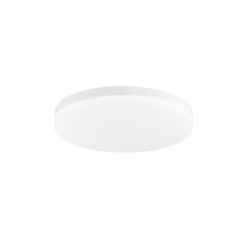 Xelan 1-Light Ceiling Mount