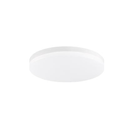 Xelan 1-Light Ceiling Mount