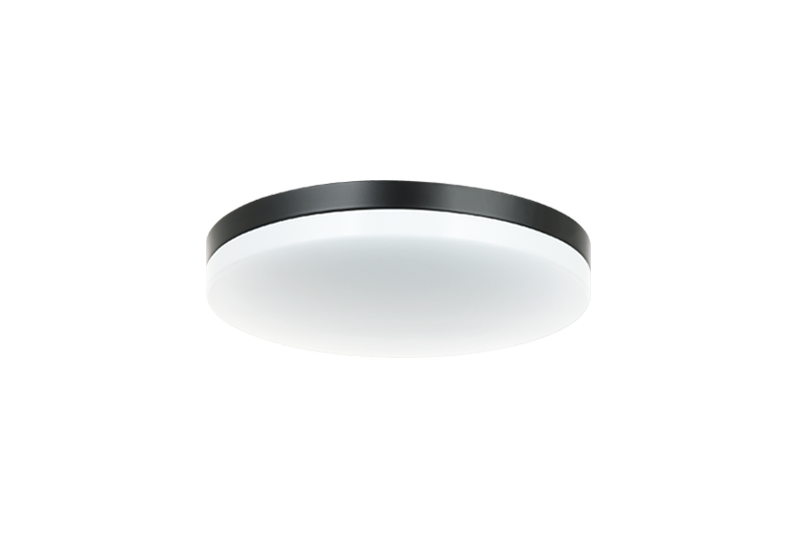 Orion 1-Light Ceiling Mount