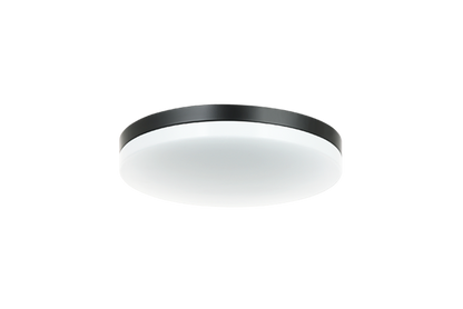 Orion 1-Light Ceiling Mount