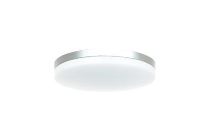 Orion 1-Light Ceiling Mount