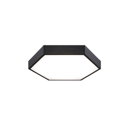 Hexol 1-Light Flush Mounts