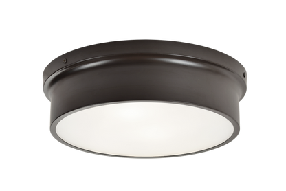 Ciotola 2-Light Ceiling Mount