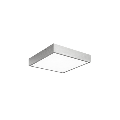 Kashi 1-Light Ceiling Mount