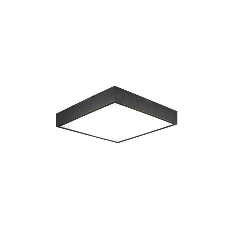 Kashi 1-Light Ceiling Mount