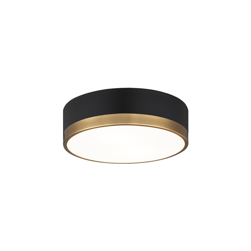 Trydor 2-Light Ceiling Mount