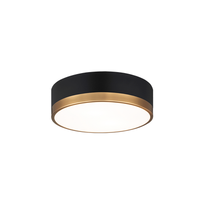 Trydor 2-Light Ceiling Mount