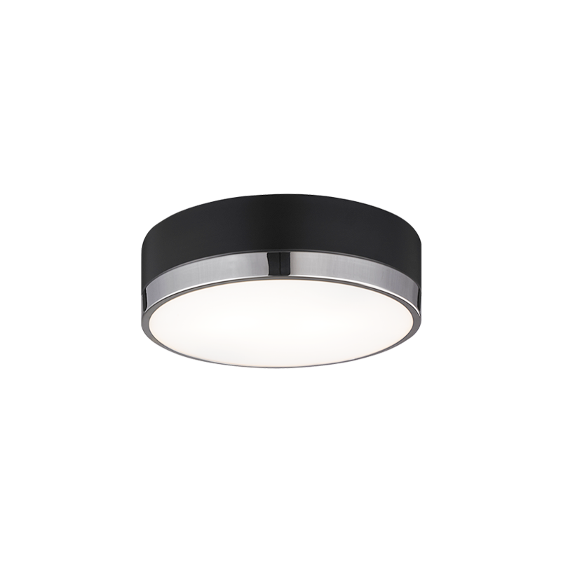 Trydor 2-Light Ceiling Mount