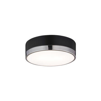 Trydor 2-Light Ceiling Mount