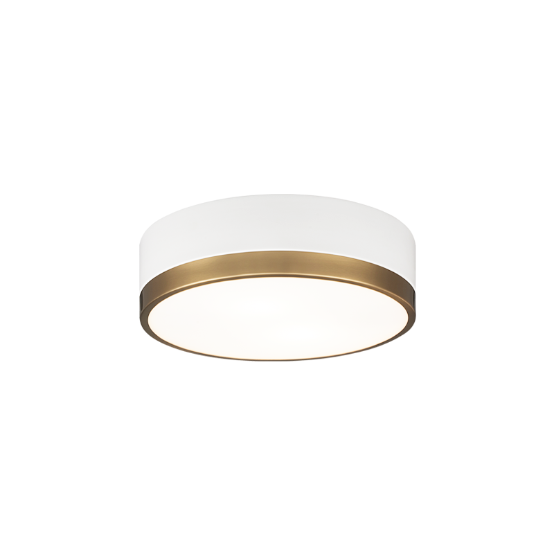 Trydor 2-Light Ceiling Mount