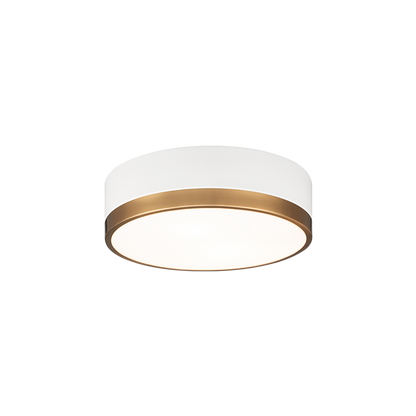 Trydor 2-Light Ceiling Mount