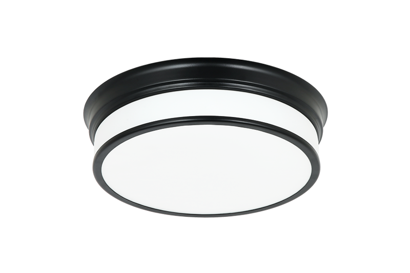 Navo 1-Light Ceiling Mount