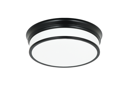 Navo 1-Light Ceiling Mount