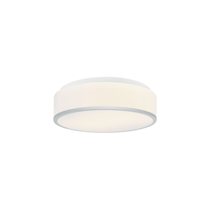 Echo 2-Light Ceiling Mount