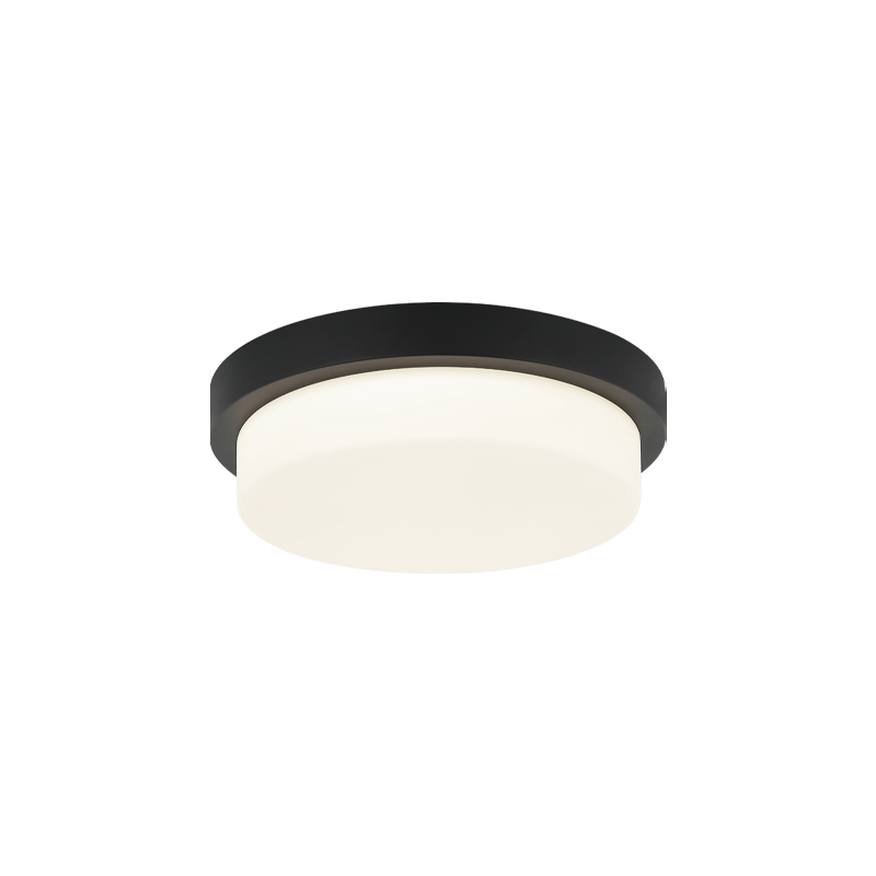 Durham 1-Light Ceiling Mount