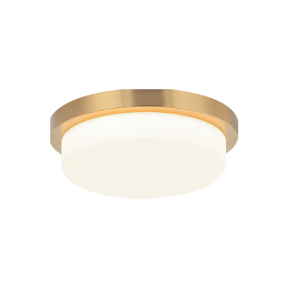 Durham 1-Light Ceiling Mount