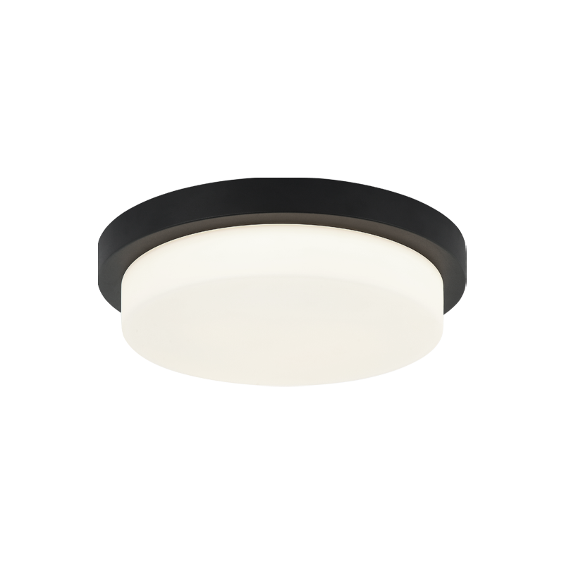 Durham 1-Light Ceiling Mount