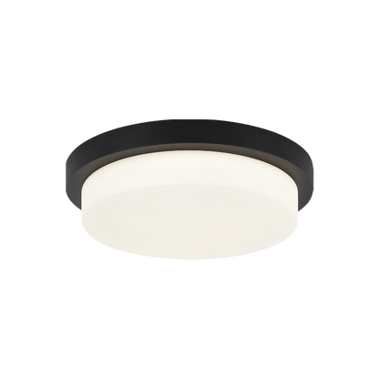 Durham 1-Light Ceiling Mount