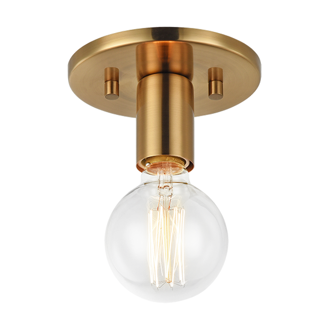 Kasa 1-Light Wall Sconce/Ceiling Mount