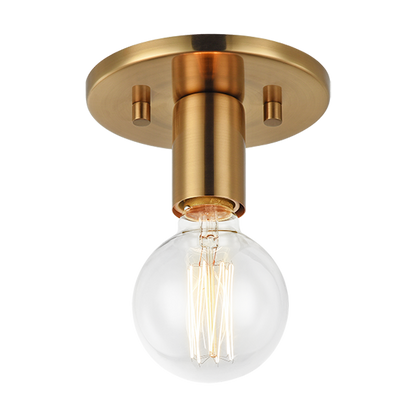 Kasa 1-Light Wall Sconce/Ceiling Mount