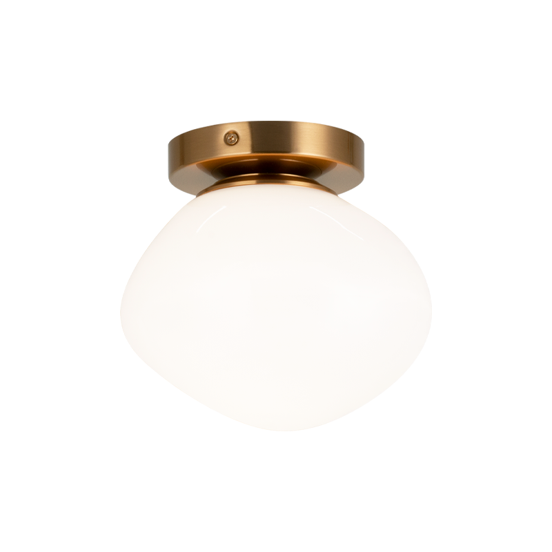 Melotte 1-Light Wall Sconce/Ceiling Mount