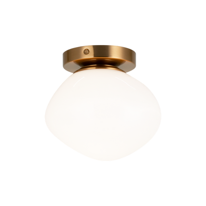 Melotte 1-Light Wall Sconce/Ceiling Mount