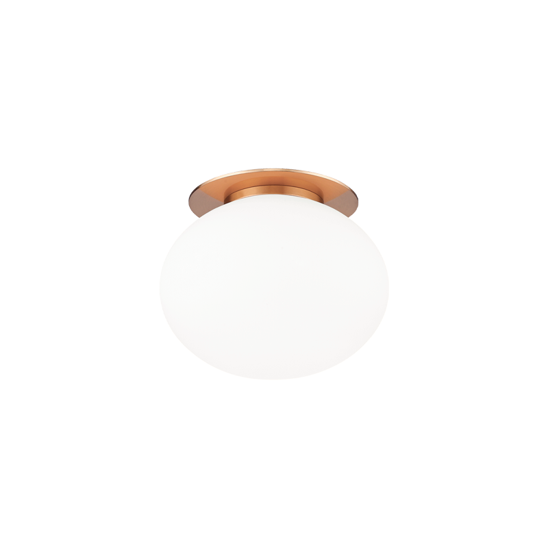 Mayu 1-Light Wall Sconce/Ceiling Mount