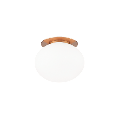 Mayu 1-Light Wall Sconce/Ceiling Mount