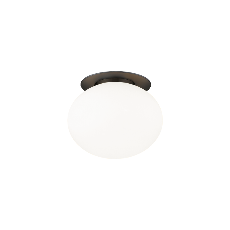 Mayu 1-Light Wall Sconce/Ceiling Mount