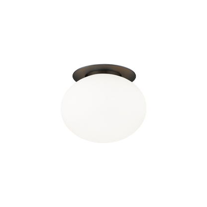 Mayu 1-Light Wall Sconce/Ceiling Mount