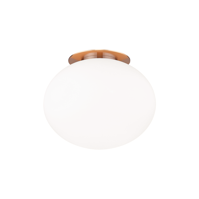 Mayu 1-Light Wall Sconce/Ceiling Mount