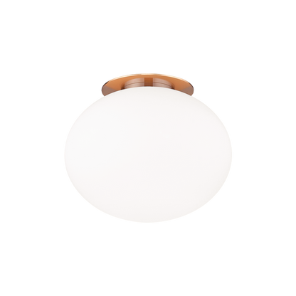 Mayu 1-Light Wall Sconce/Ceiling Mount