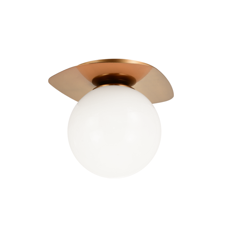 Razz 1-Light Ceiling Mount