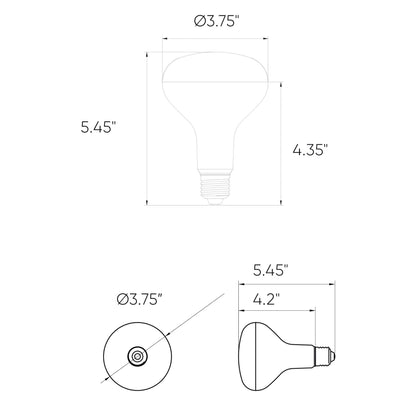 Smart BR30 RGB+CCT Light Bulb