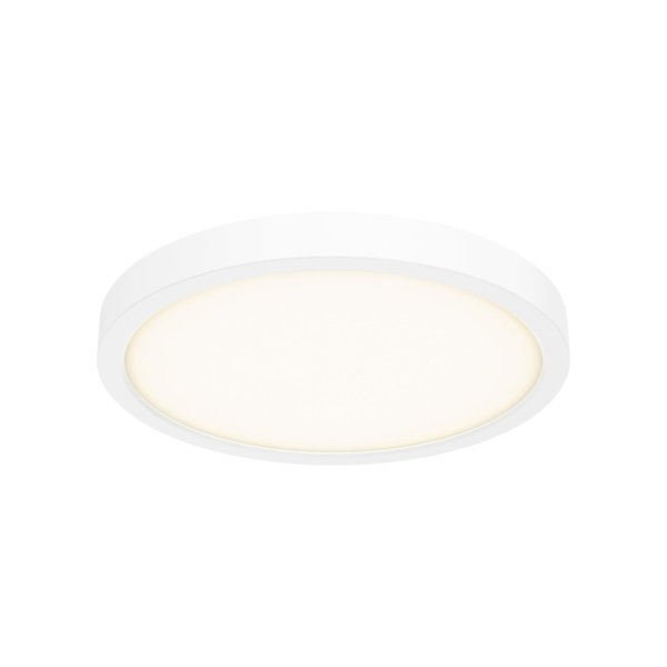 10 Inch Round Indoor/Outdoor LED Flush Mount